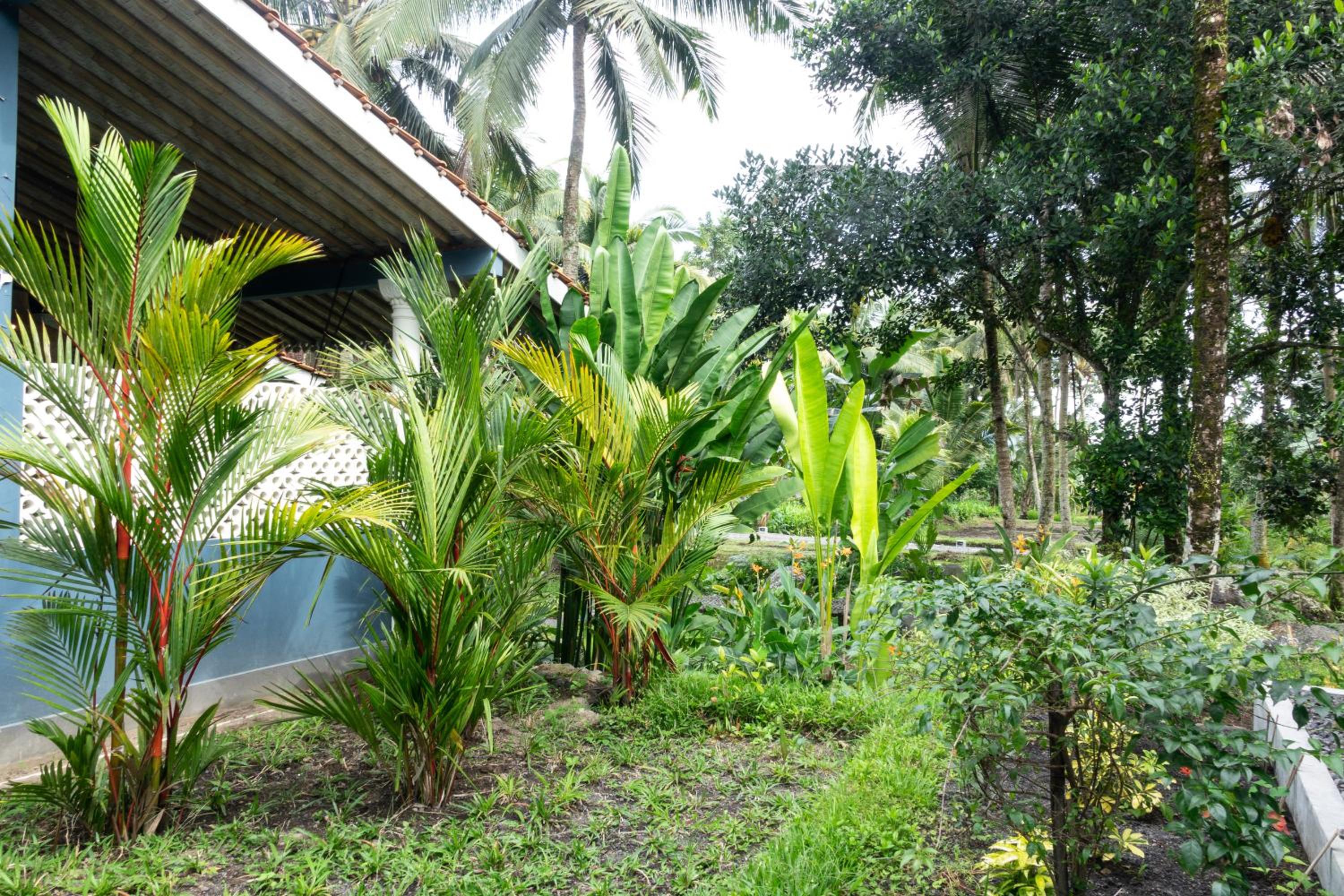 Photo 137