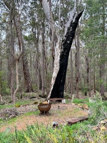 Silvertrees - In Town - Margaret River