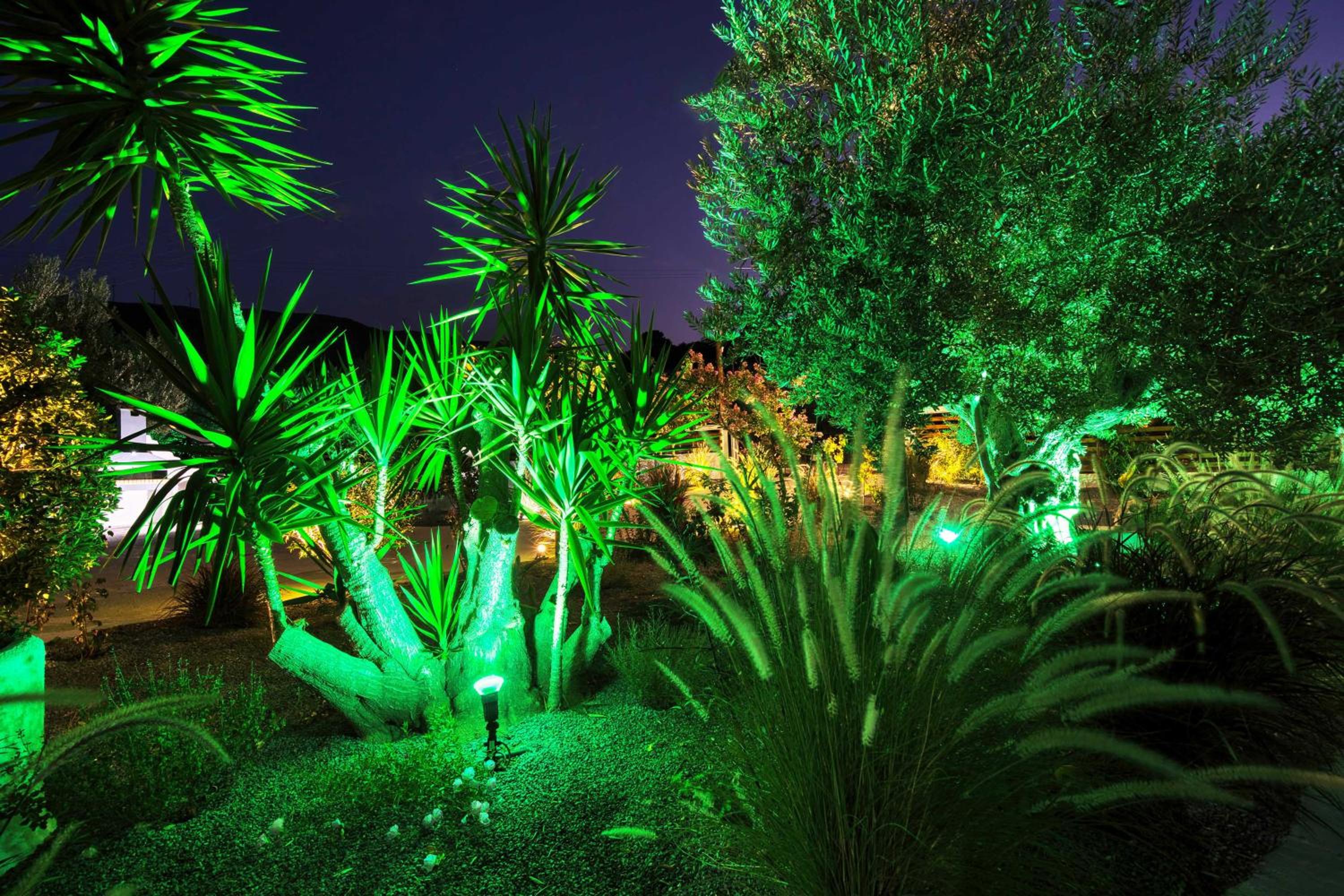 Green Poetree Houses
