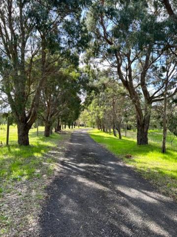 Pine View Cottage - Pet Friendly - Cowaramup