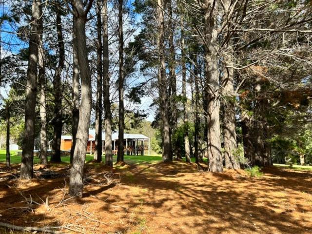 Pine View Cottage - Pet Friendly - Cowaramup
