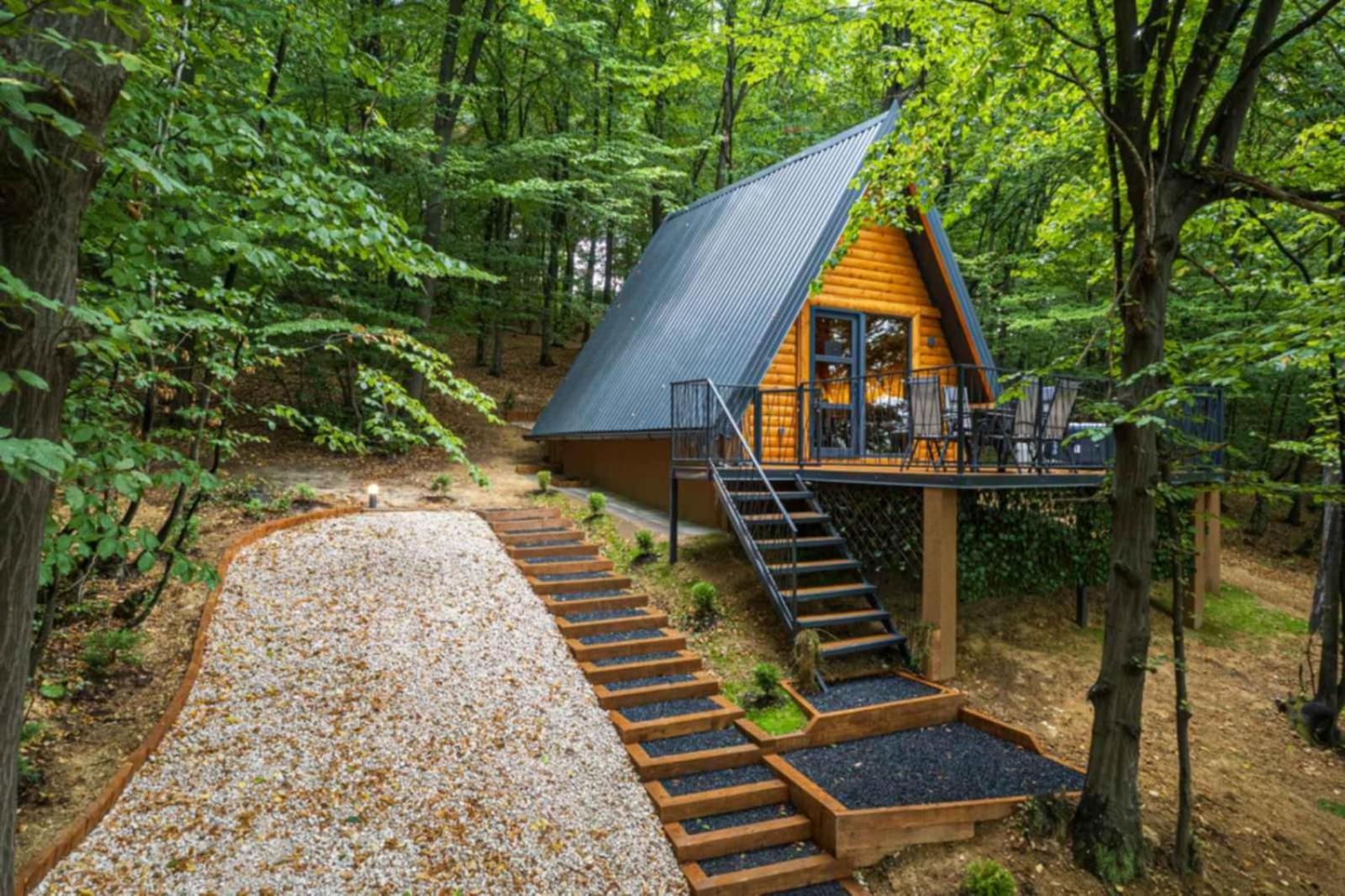 Silent woods Visoko