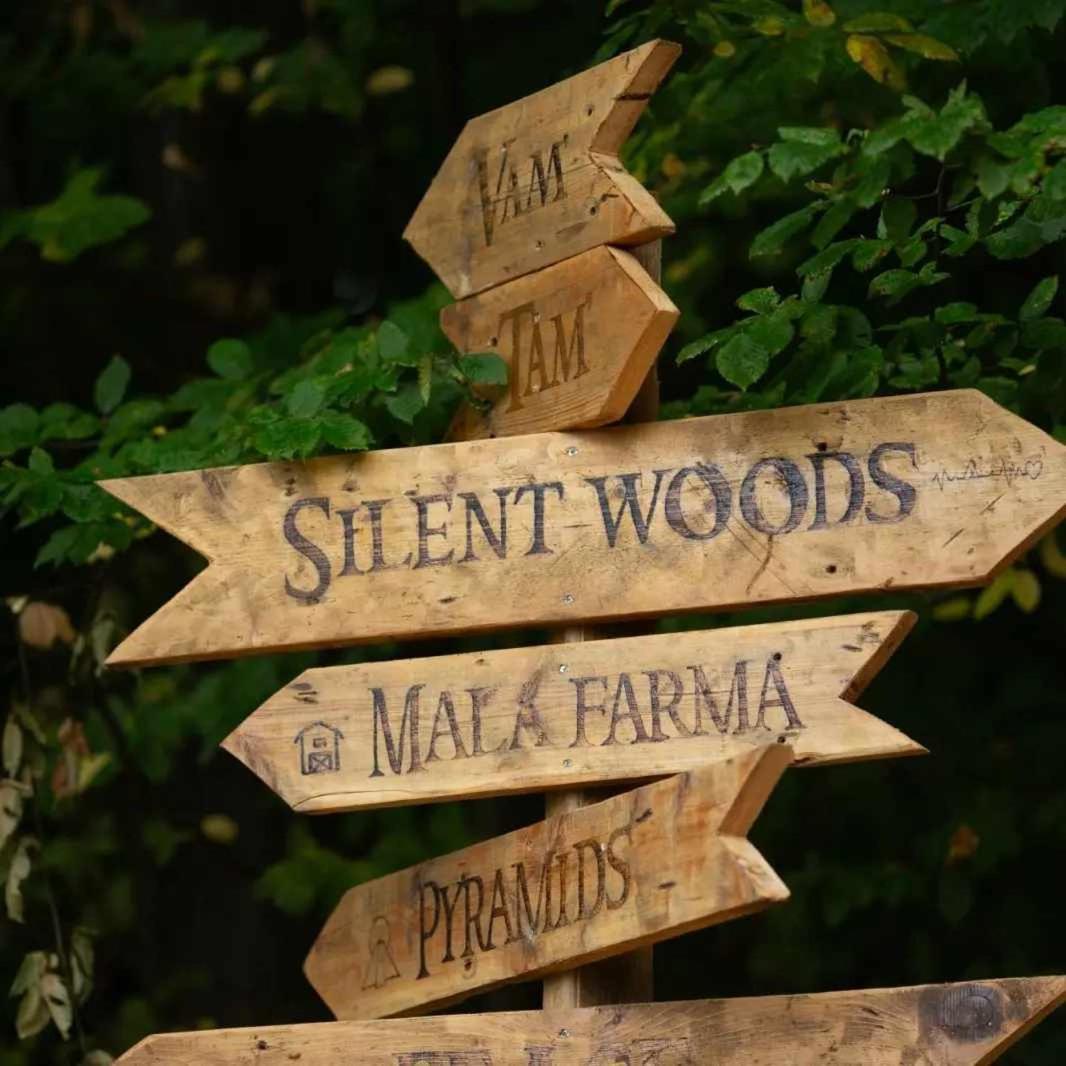 Silent woods Visoko