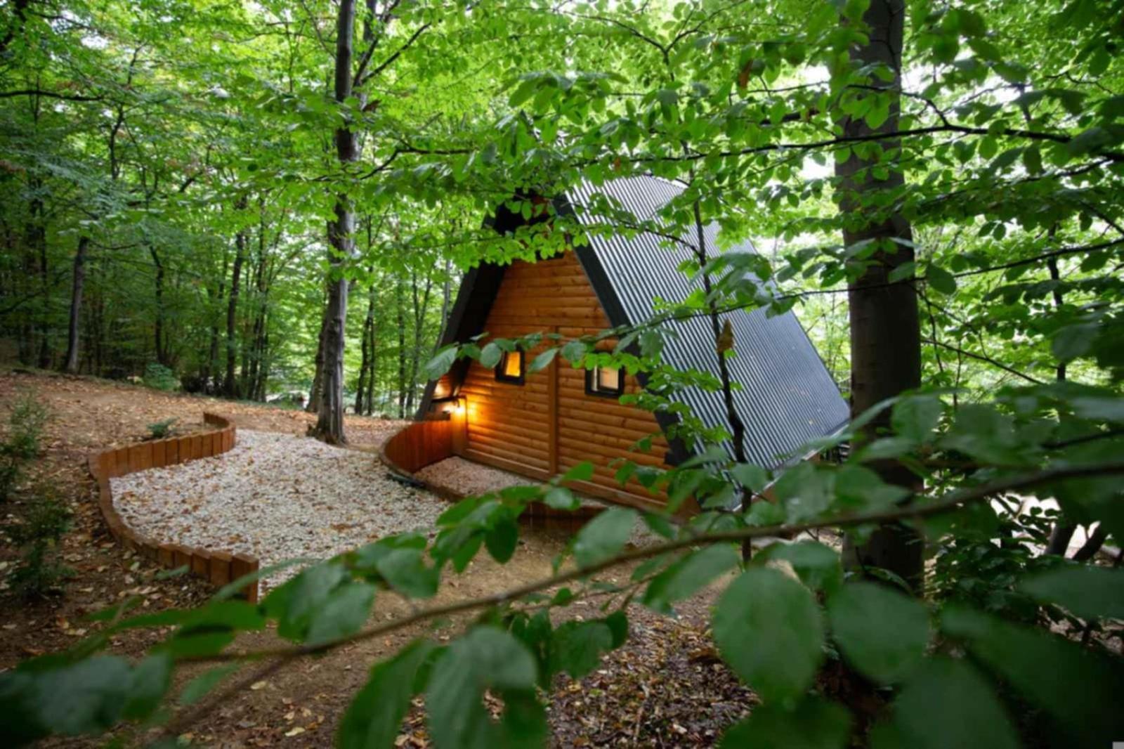 Silent woods Visoko