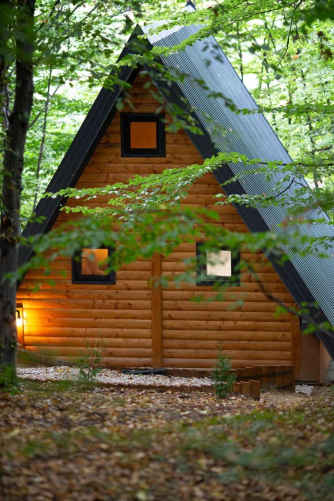 Silent woods Visoko