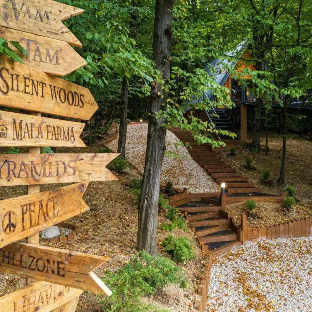 Silent woods Visoko