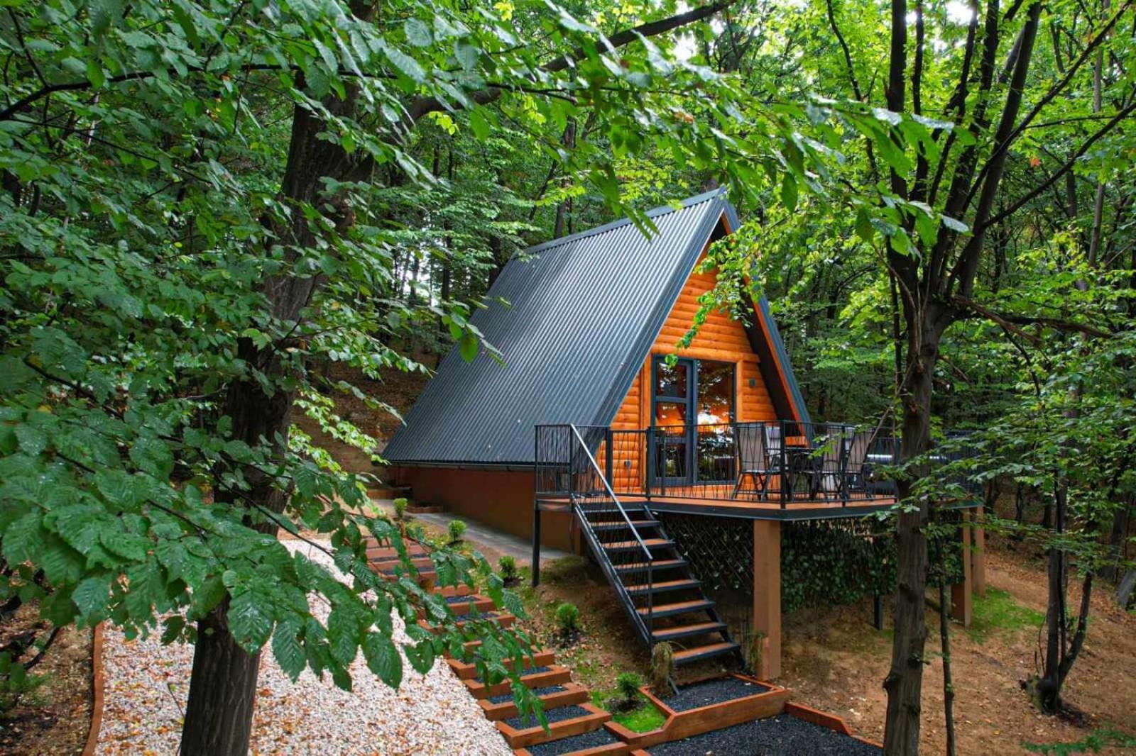 Silent woods Visoko