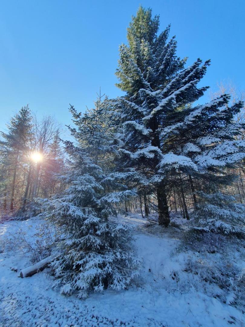 NEU! Fernblick Hohegeiß Sauna Hallenbad
