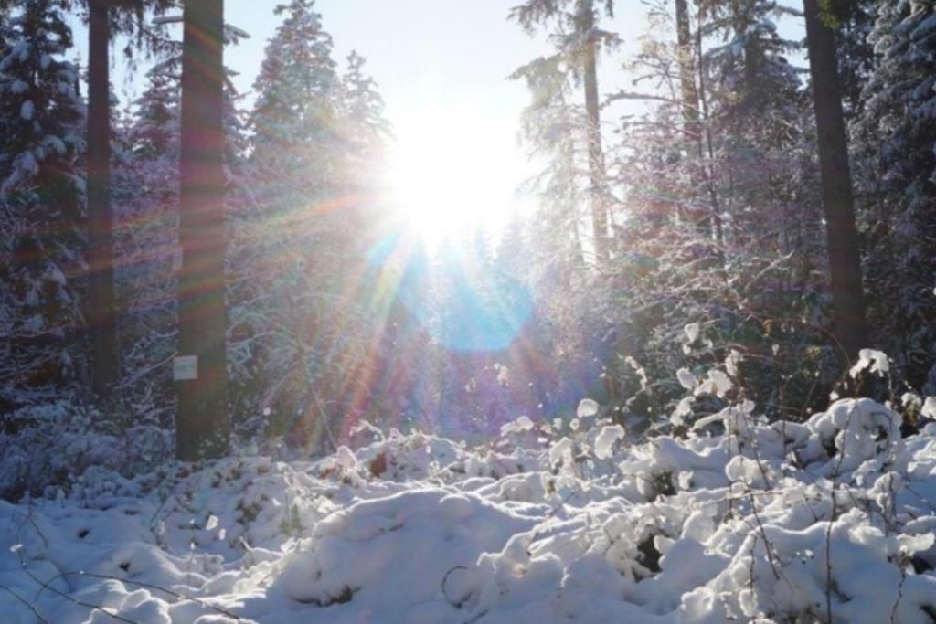 NEU! Fernblick Hohegeiß Sauna Hallenbad