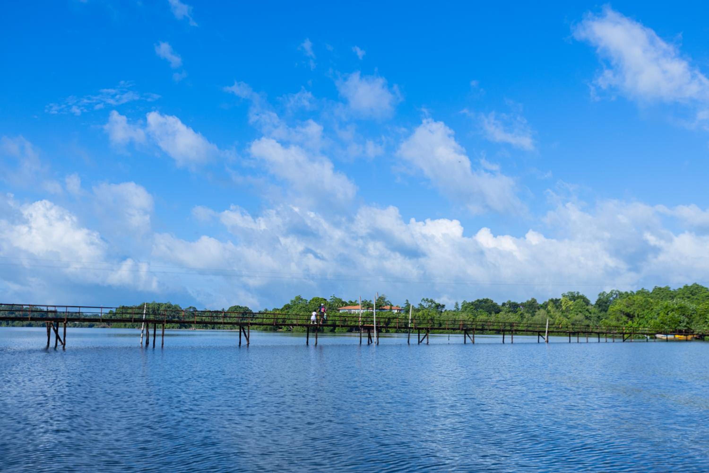 THE Mangrove cave Hotel