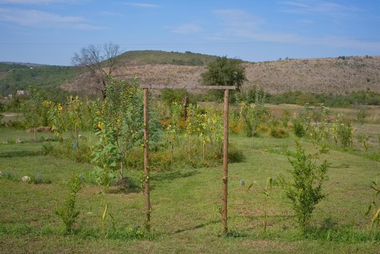 Photo 25