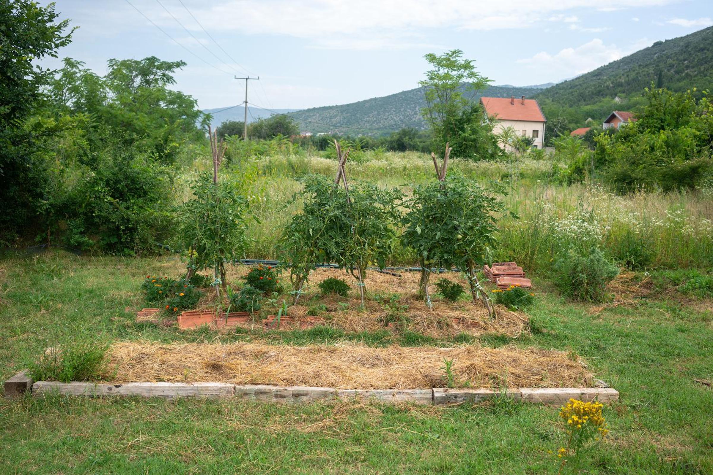 Photo 28