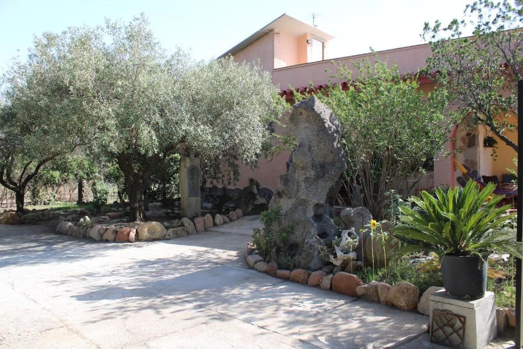 Photo 21