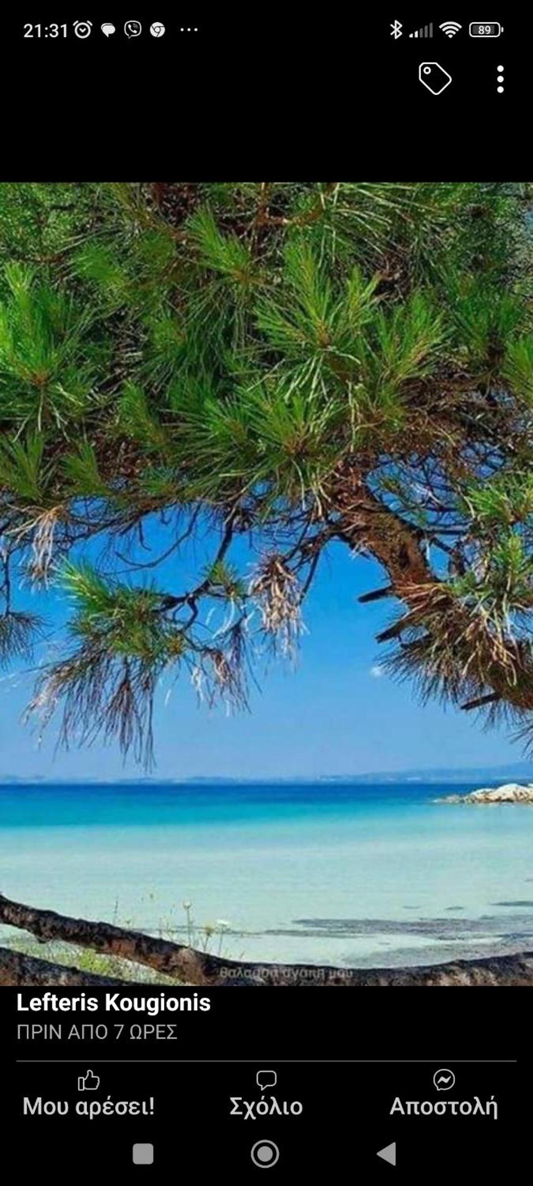 OASIS luxury apartments and rooms nikiti, Foto 35