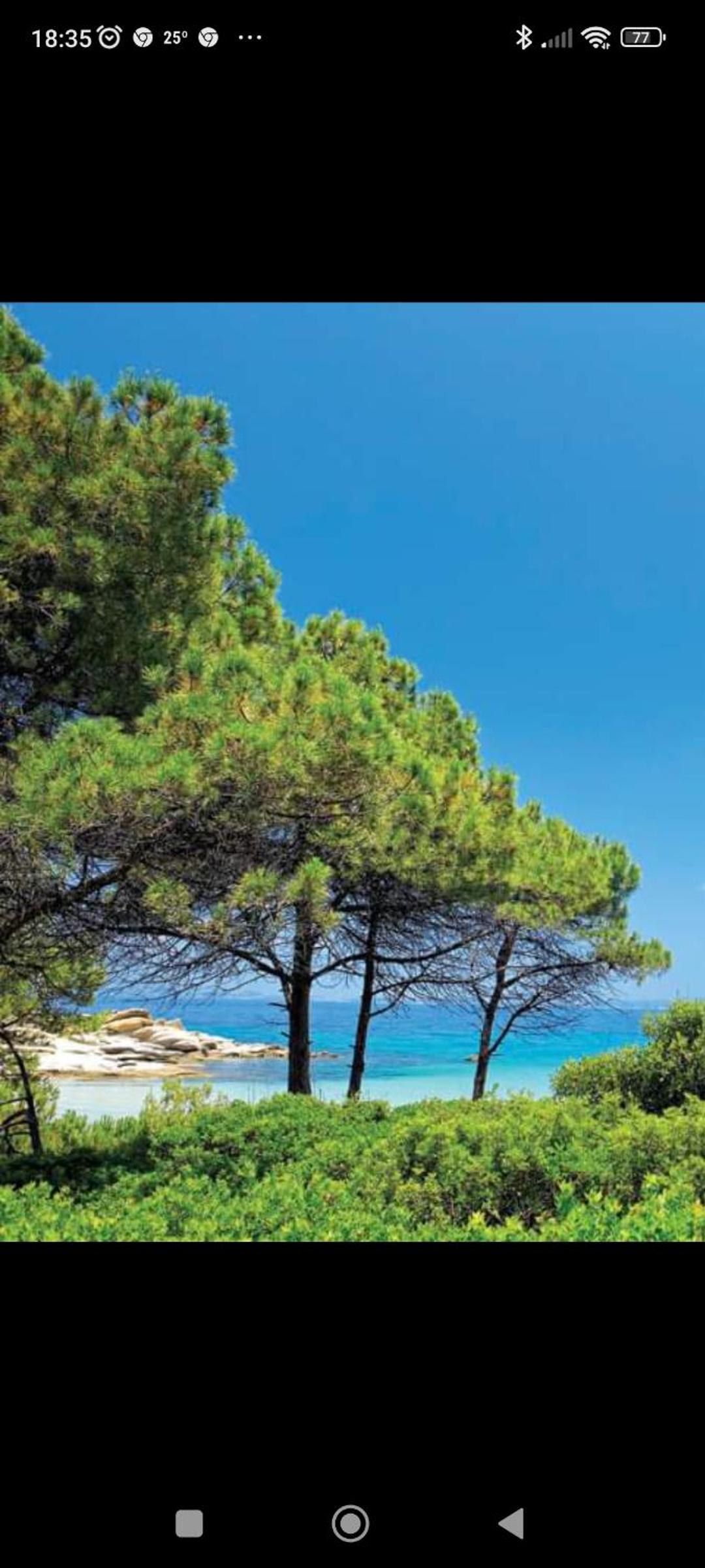 OASIS luxury apartments and rooms nikiti, Foto 31