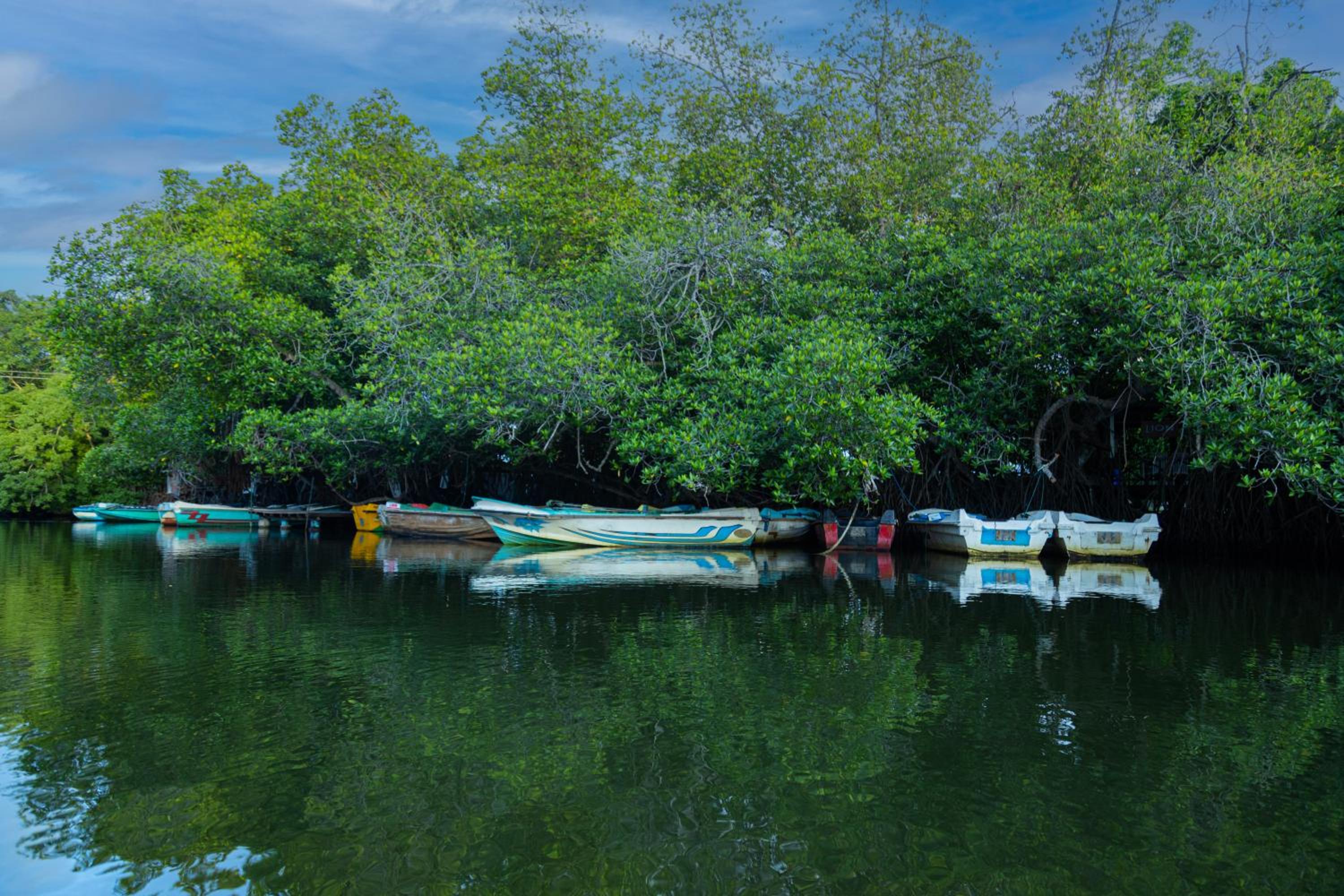 THE Mangrove cave Hotel