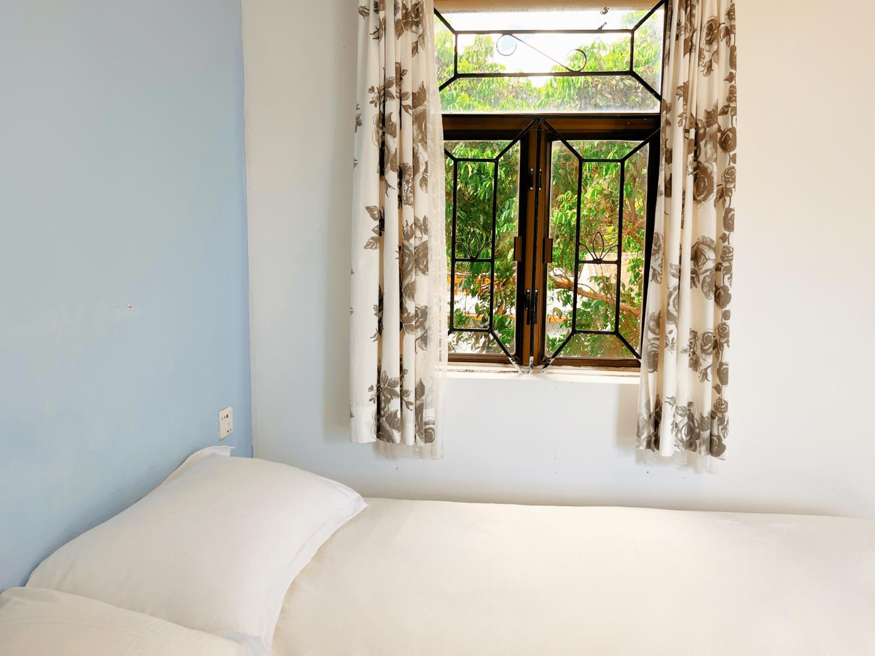 Cloud Tree Inn Boutique Guesthouse XiChong DaPeng ShenZhen 深圳大鹏西涌云树里民宿Yun Shu Li