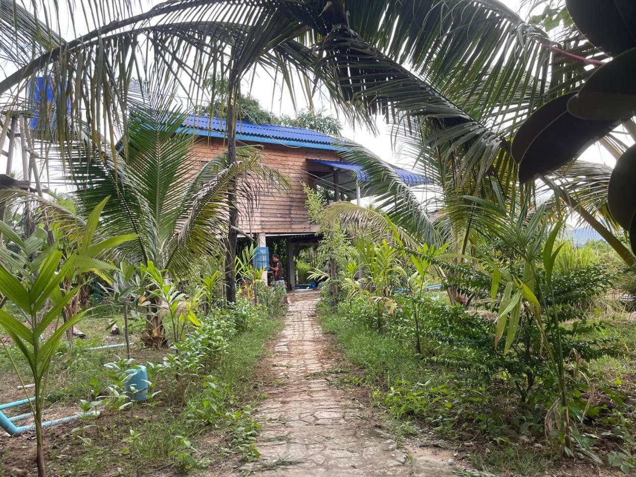 Kampot CoCo Homestay