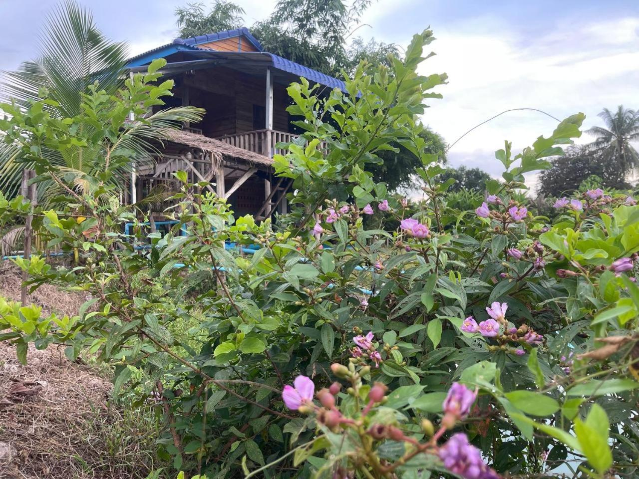 Kampot CoCo Homestay