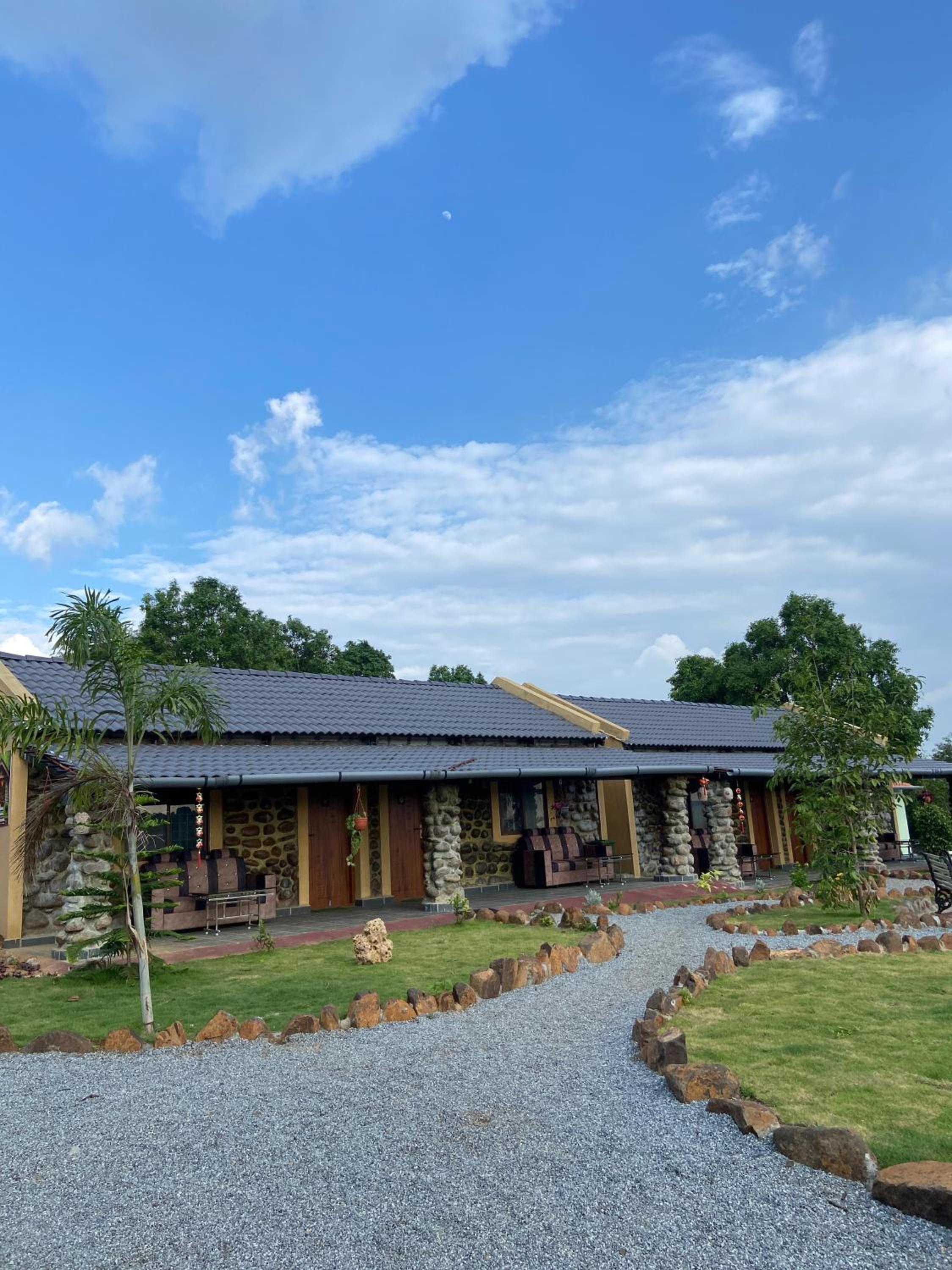 Rob's Eco Nest view 3