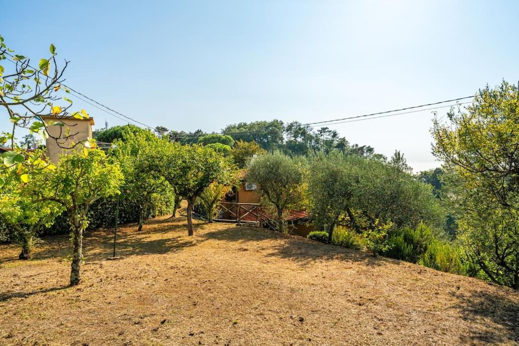 Casa Tramonto view 5