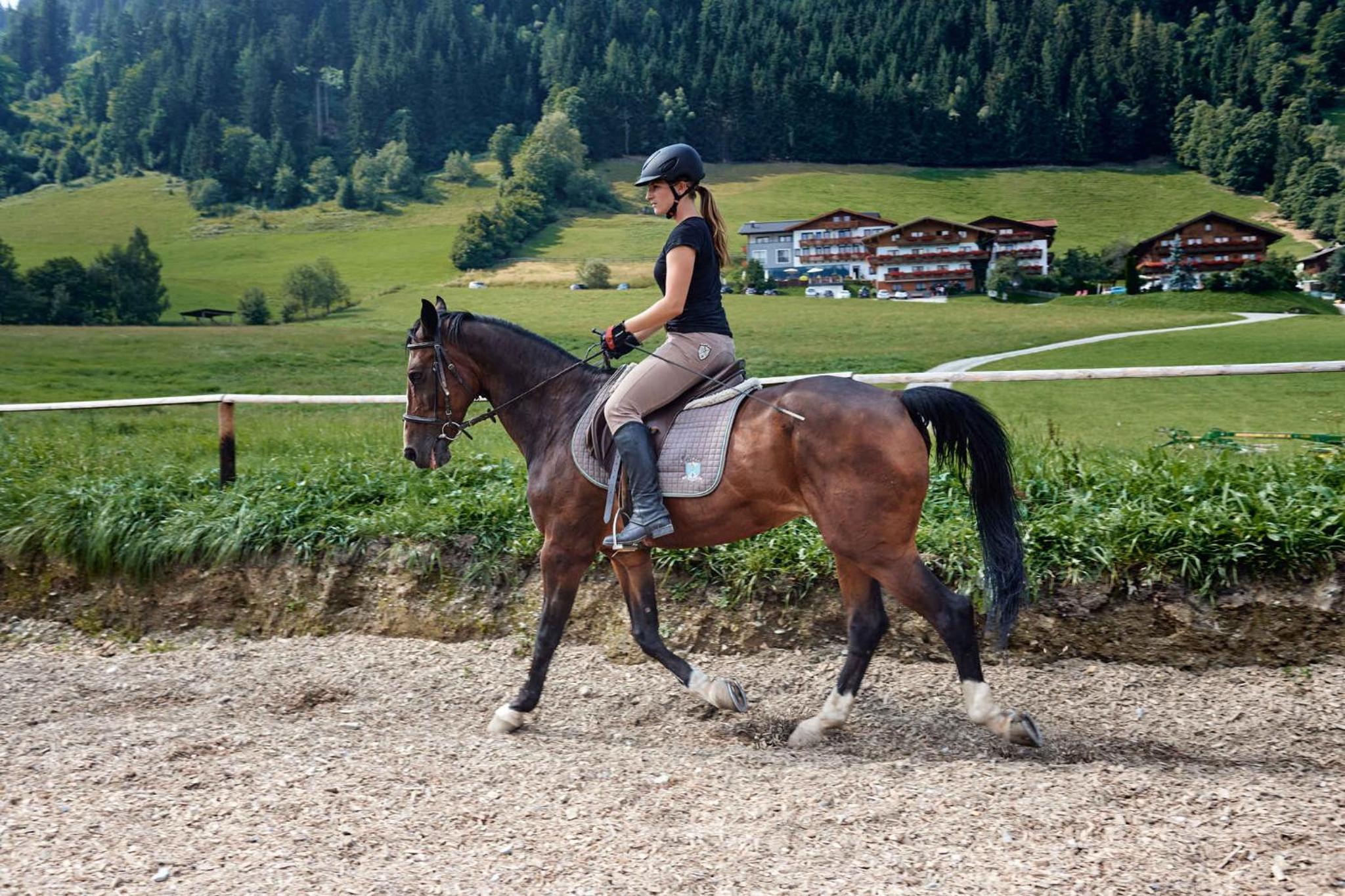 Apartments in Flachau - Salzburger Land 35292