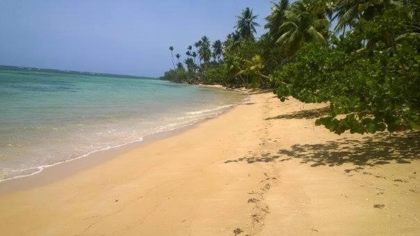 Tropical Paradise Retreat in Las Terrenas