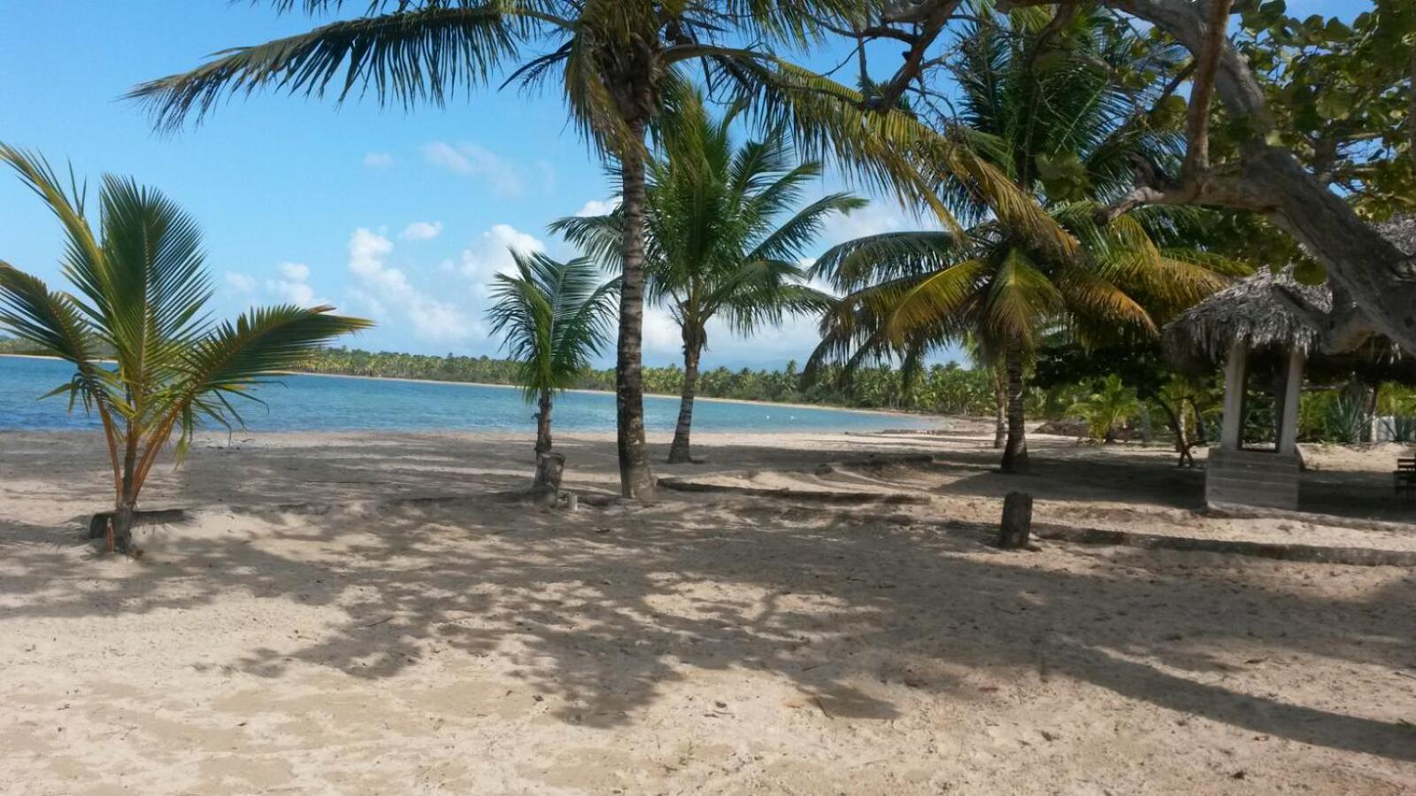 Tropical Paradise Retreat in Las Terrenas