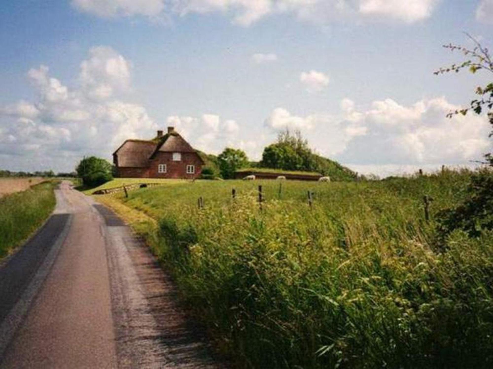 Friesenhaus Hörn