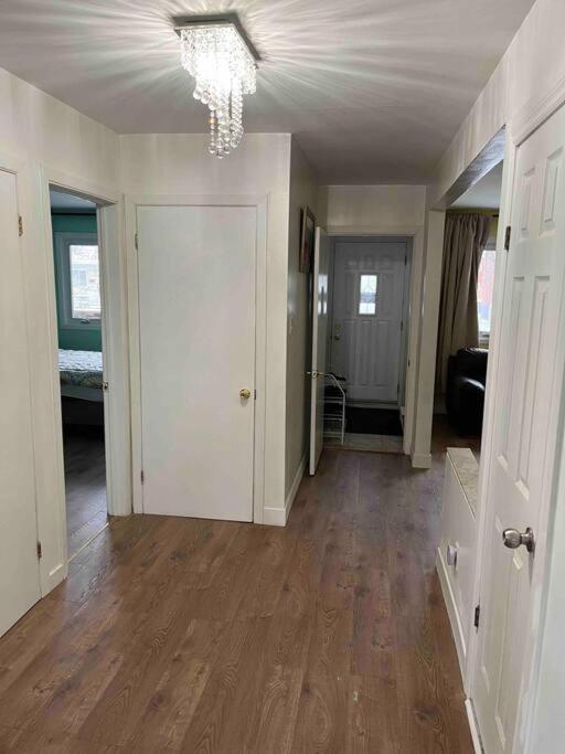 New renovated peaceful apartment with parking