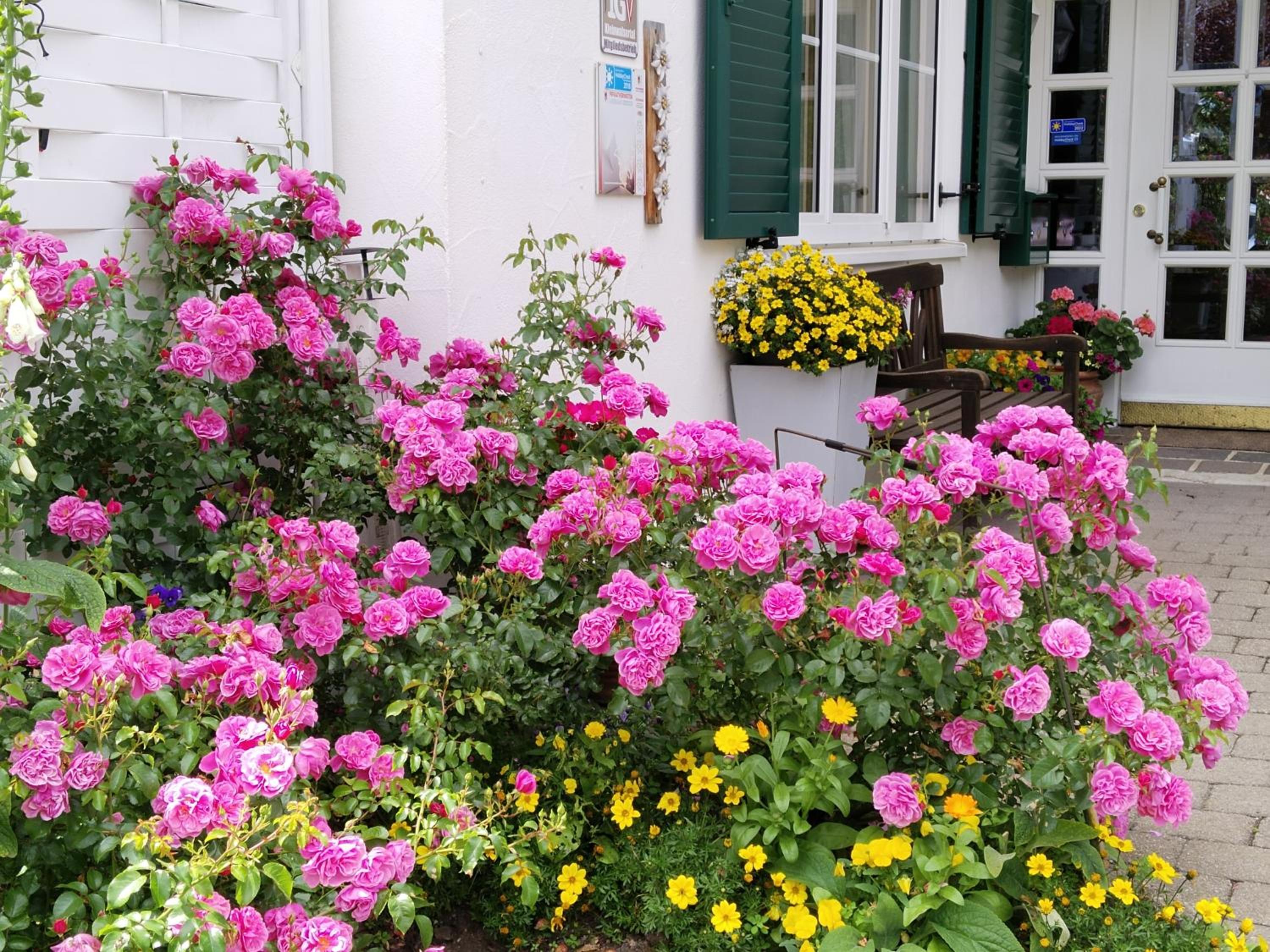 Ferienwohnung Gästehaus Büchele Kleinwalsertal