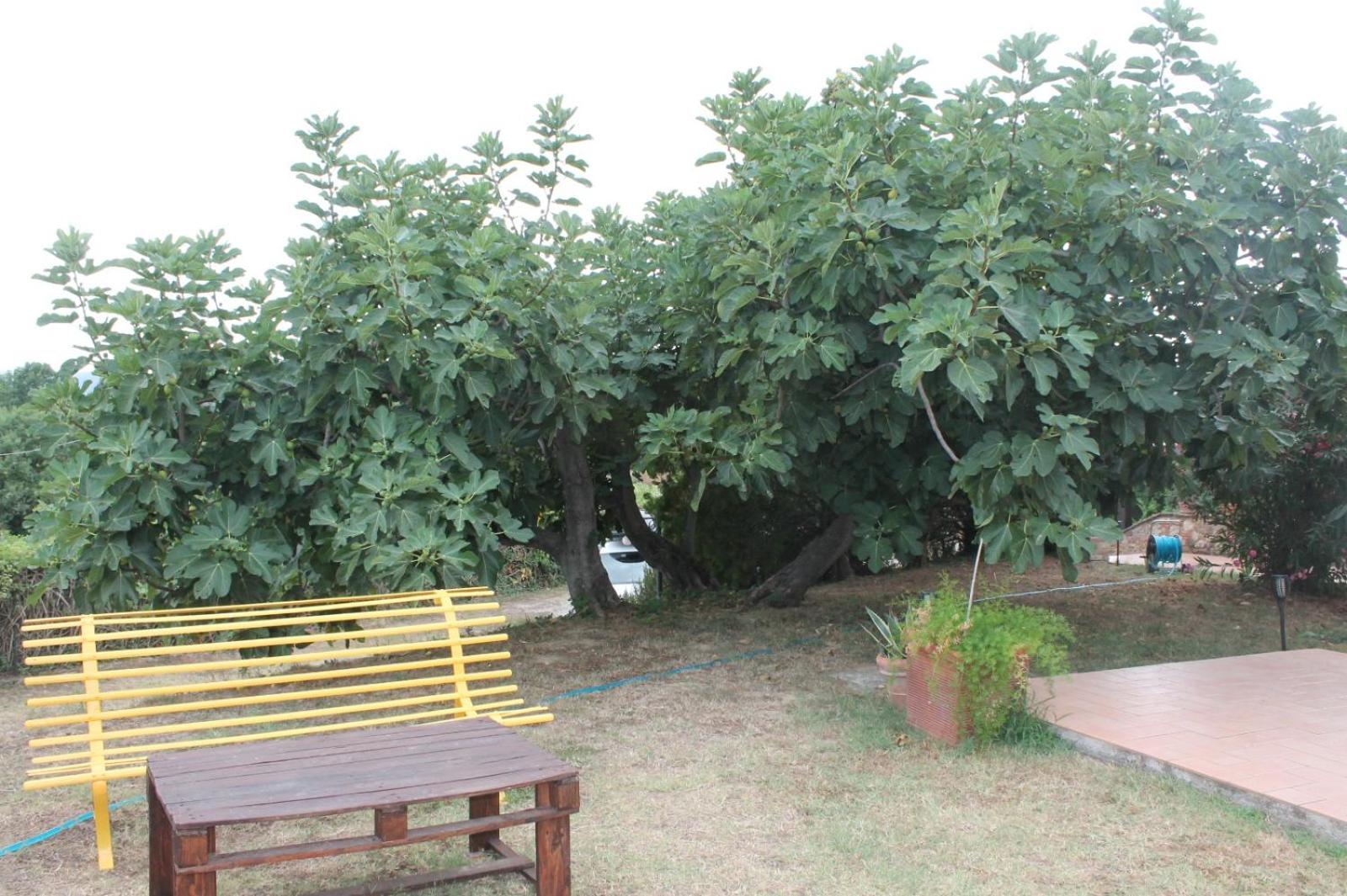 Il casale di Sandra