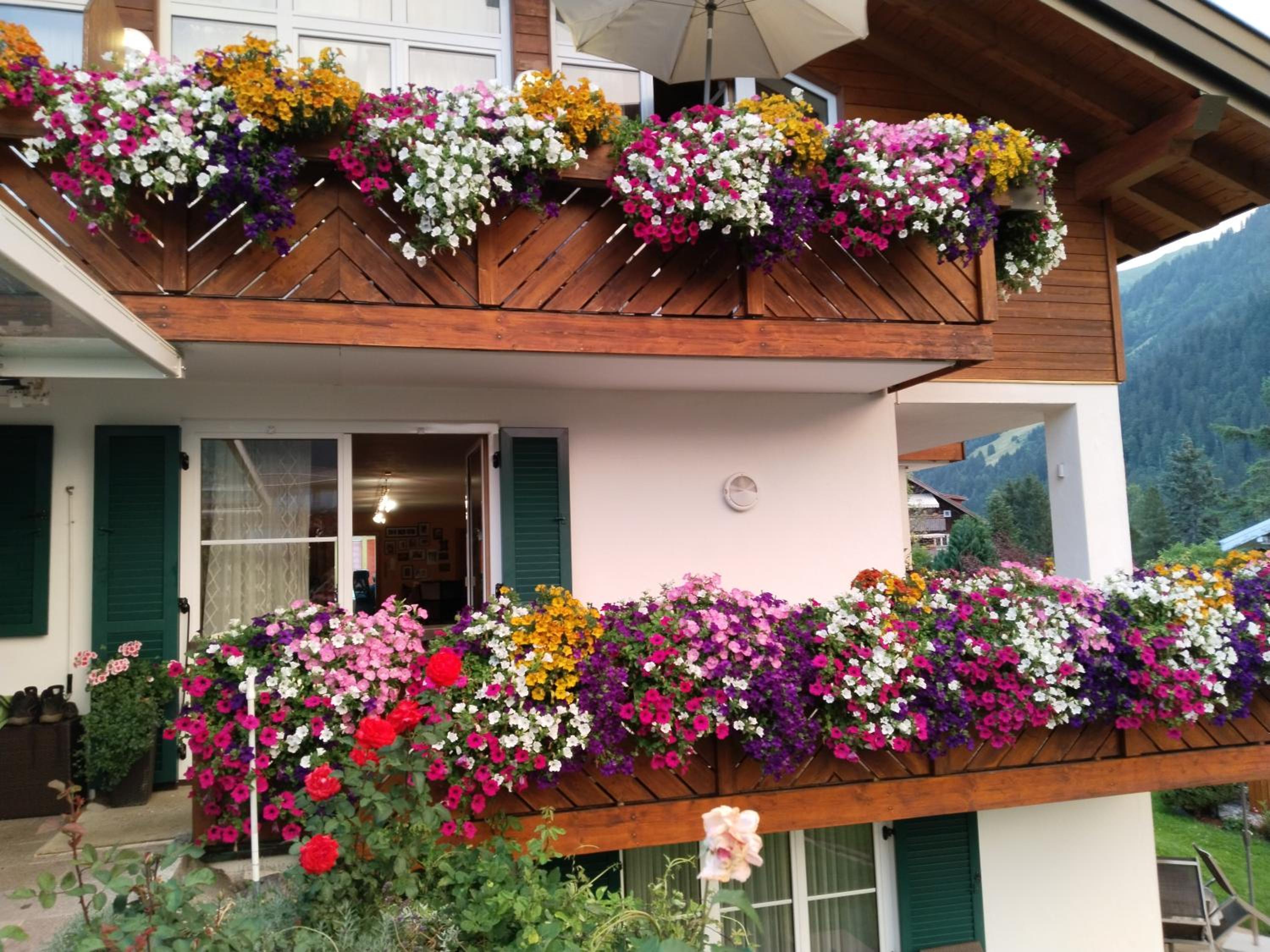 Ferienwohnung Gästehaus Büchele Kleinwalsertal