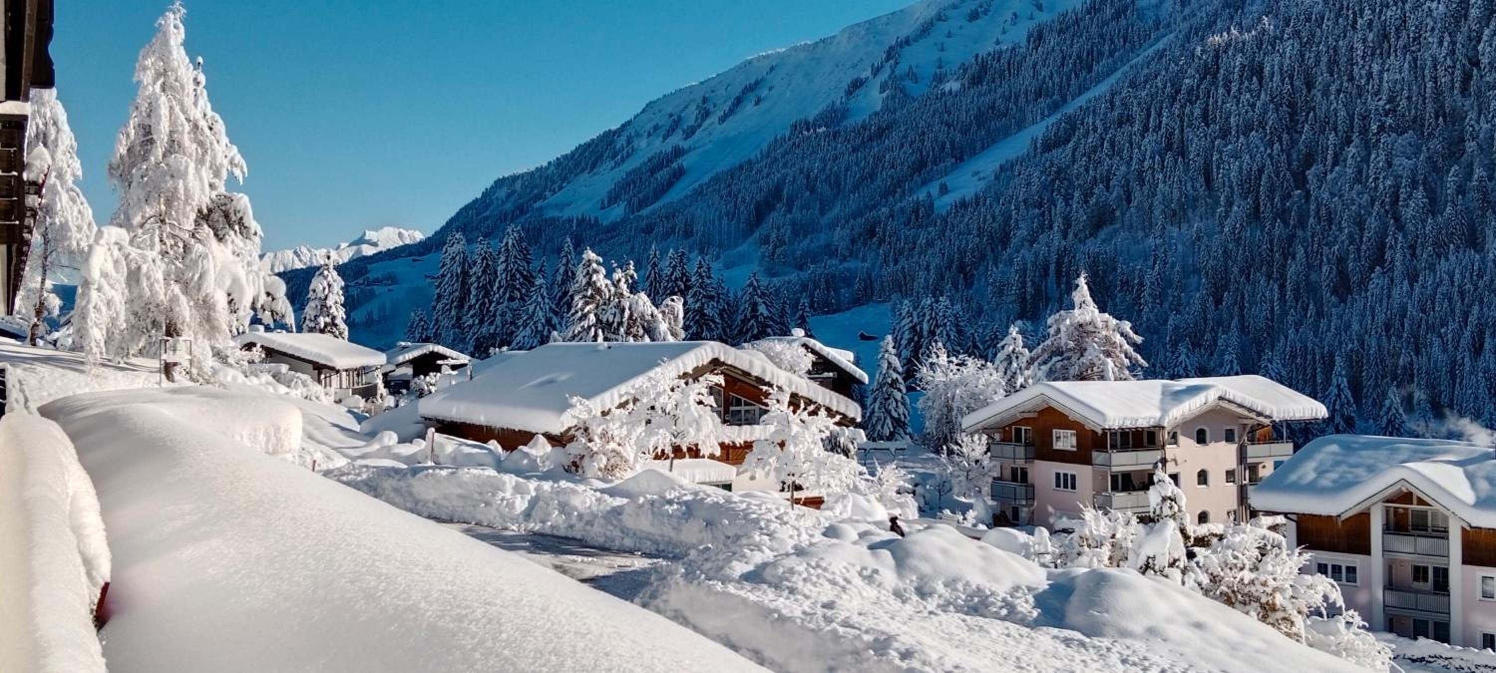 Ferienwohnung Gästehaus Büchele Kleinwalsertal