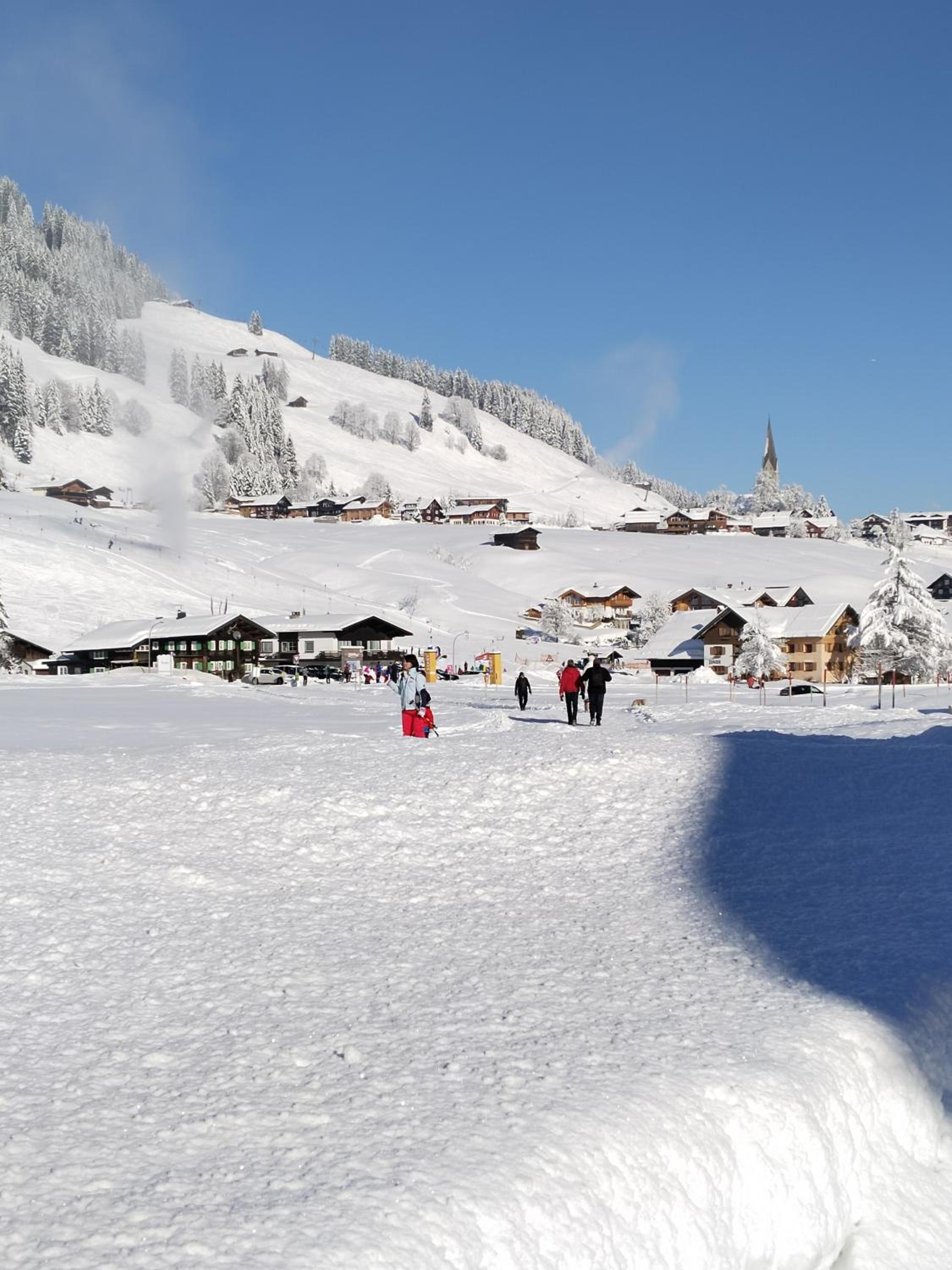 Ferienwohnung Gästehaus Büchele Kleinwalsertal