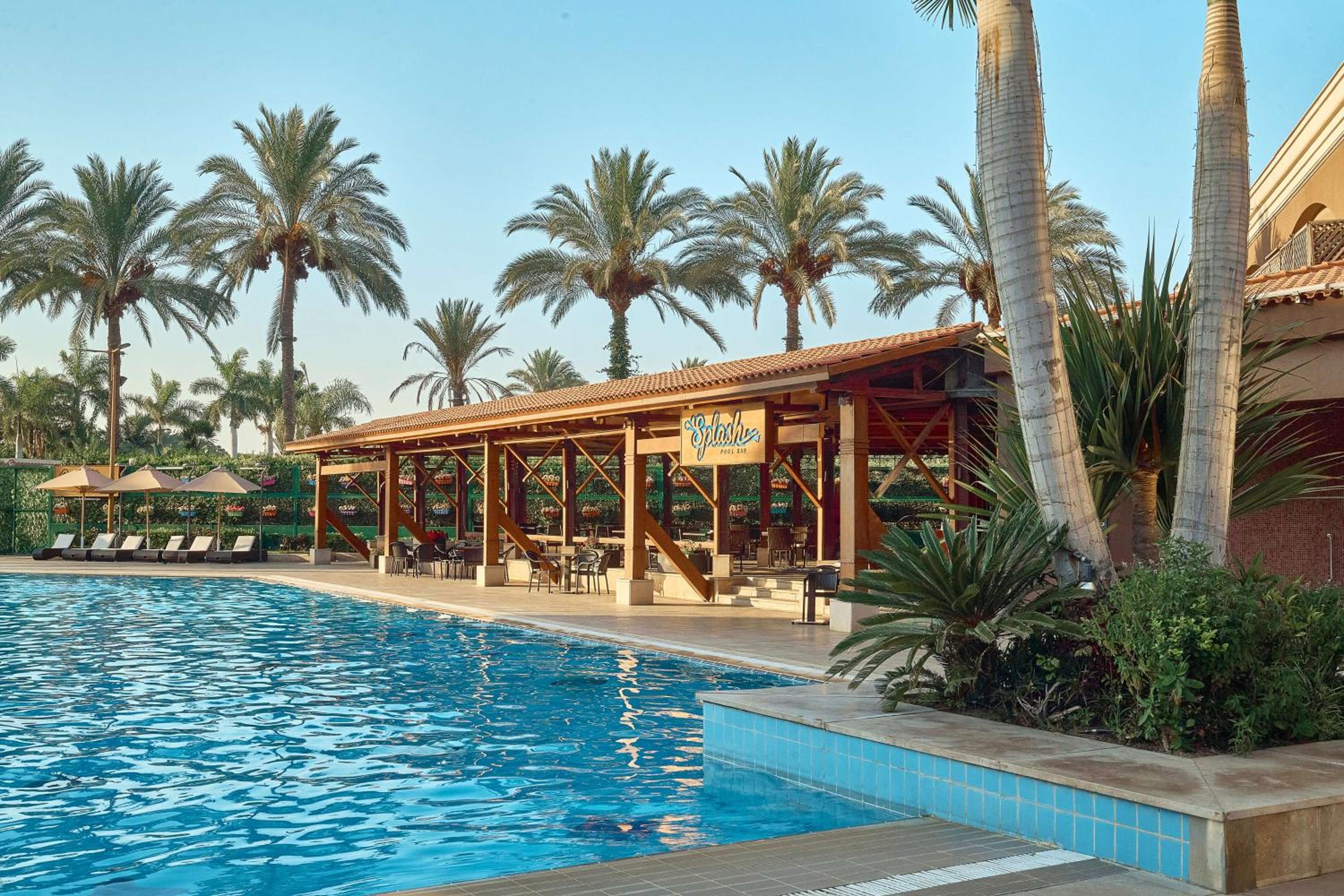 Hilton Alexandria King's Ranch Hotel - Image 4