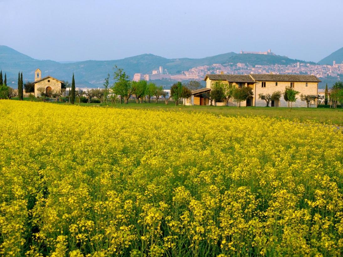 Valle di Assisi Country Apartments
