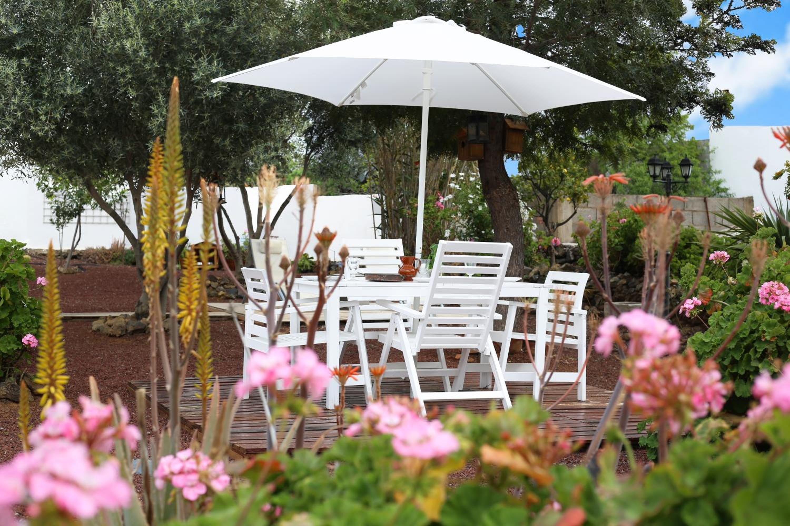 Santiago del Teide Vacations - Casa Fina - Property Image 11