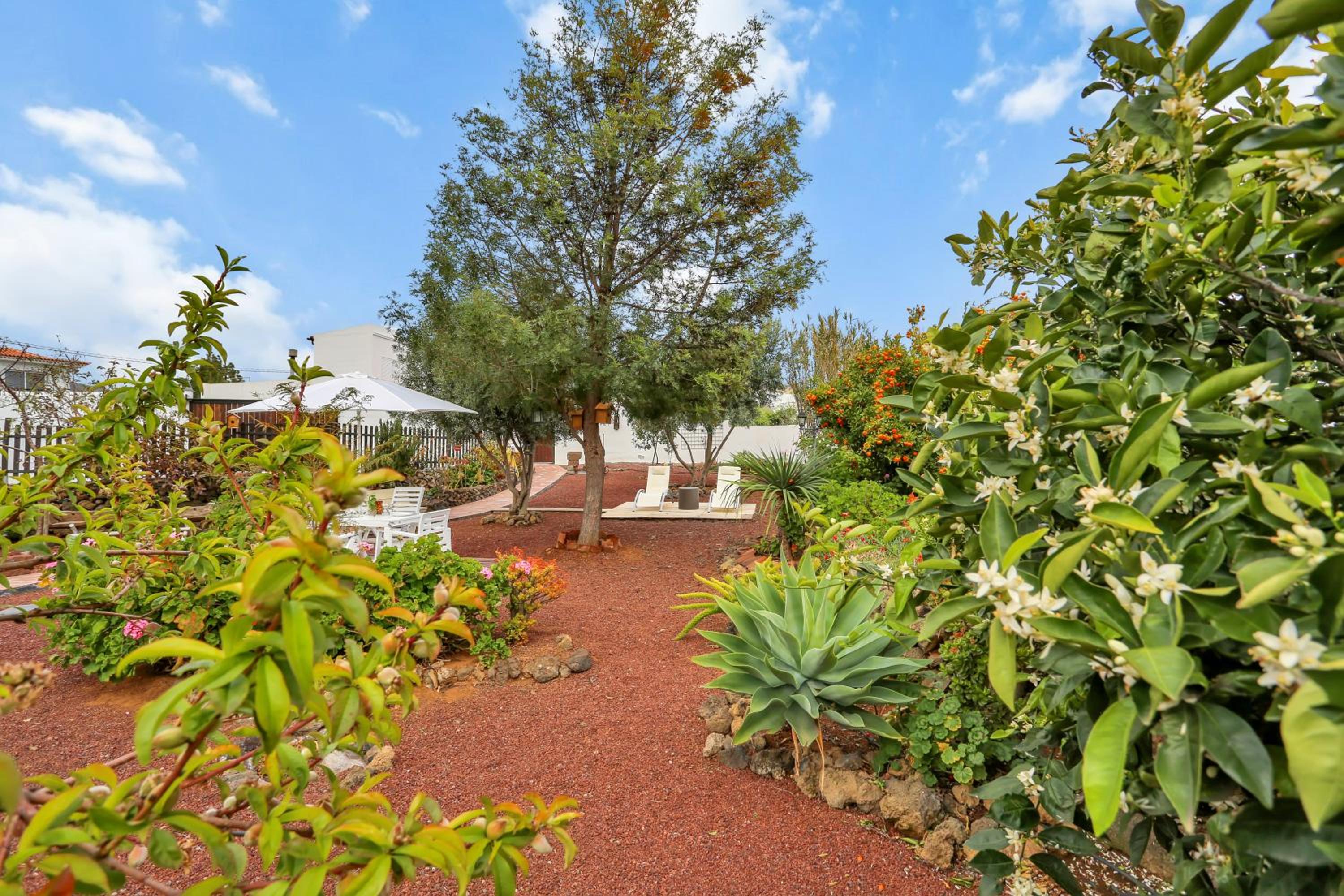 Santiago del Teide Vacations - Casa Fina - Property Image 6