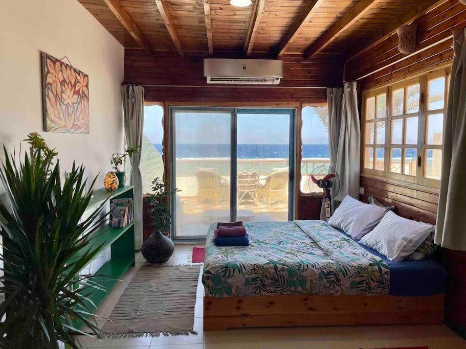 Beach front studio with huge roof top terrace