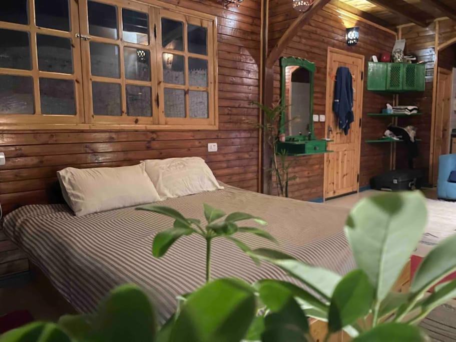 Beach front studio with huge roof top terrace