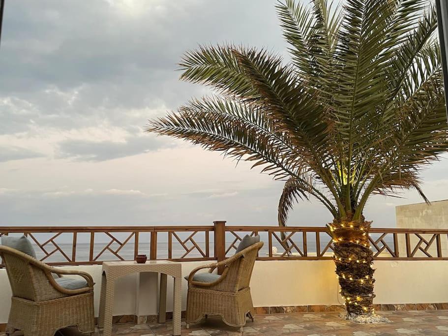 Beach front studio with huge roof top terrace