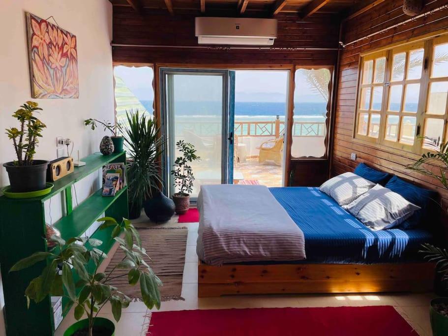 Beach front studio with huge roof top terrace