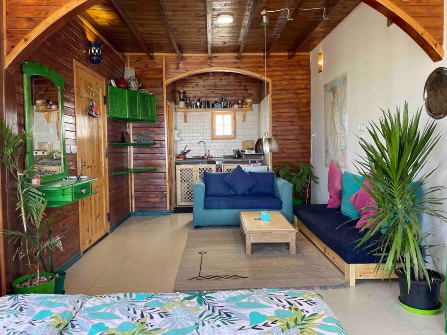 Beach front studio with huge roof top terrace