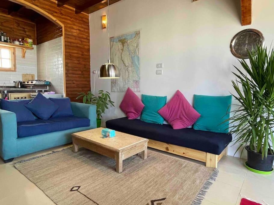 Beach front studio with huge roof top terrace