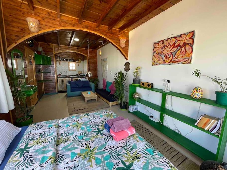 Beach front studio with huge roof top terrace