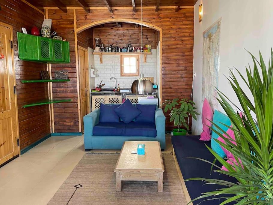 Beach front studio with huge roof top terrace