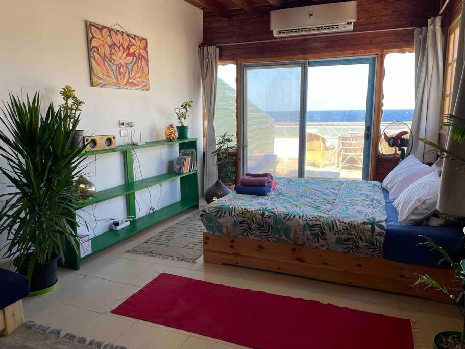 Beach front studio with huge roof top terrace