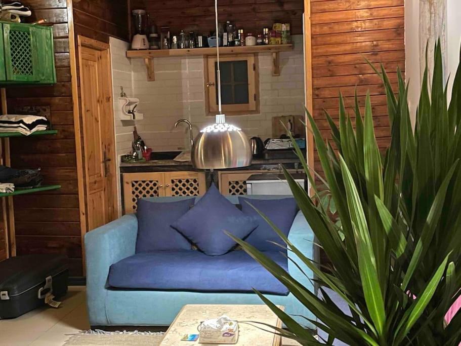 Beach front studio with huge roof top terrace