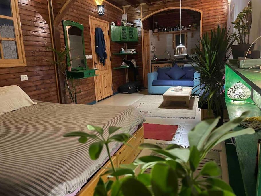 Beach front studio with huge roof top terrace